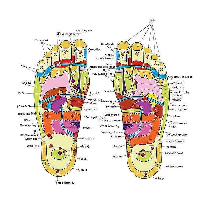 Acupressure Slippers – نعال الضغط الوخزي