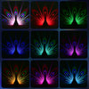 Peacocks Wall Lamp – Colorful 3D Ambient Projection Night Light